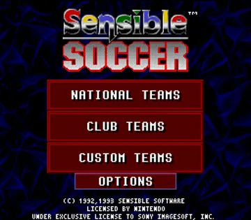 Sensible Soccer - European Champions (Europe) (En,Fr,De,It) screen shot title